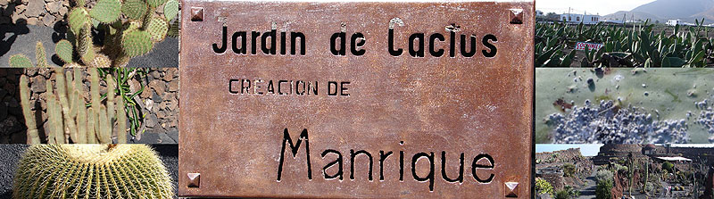 Jardin-de-Lacius-Creation de Manrique
